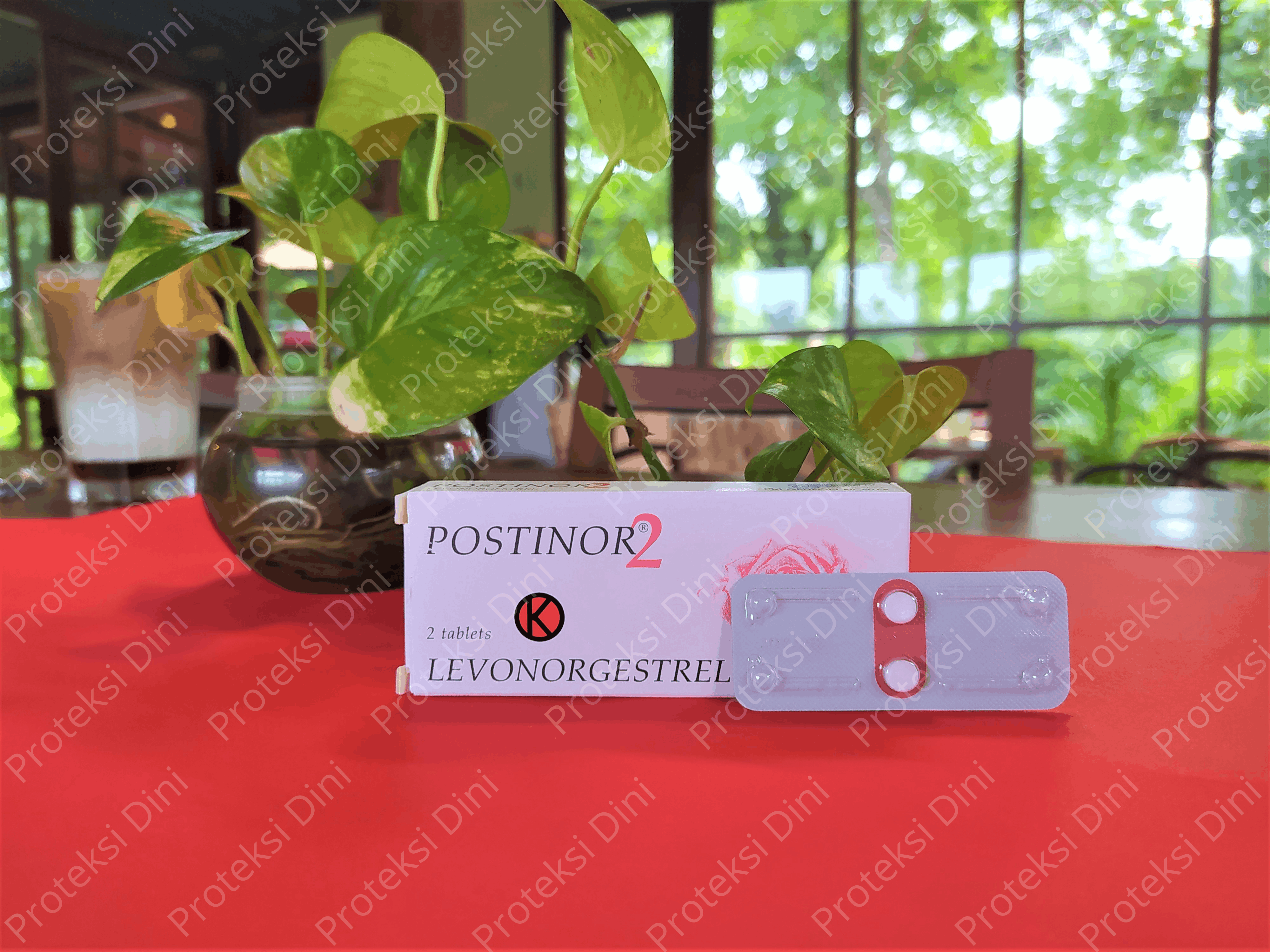 Postinor 2 : Manfaat, Kandungan, Dosis, dan Efek Sampingnya!